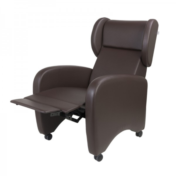 Elektrischer exotischer Sessel: Angezeigt für die Verwendung durch Patienten und Begleiter